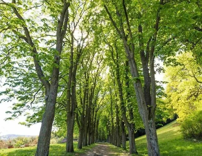 Urlaub In Schlossnaehe *